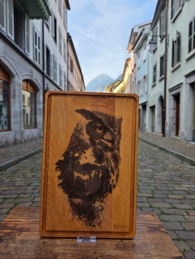 Hibou des Nuits