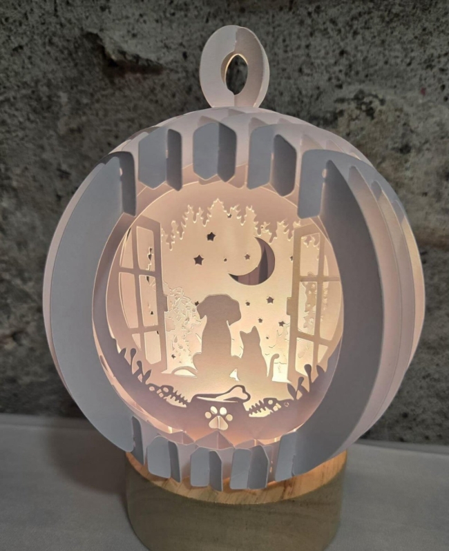 Grands amis sous la lune